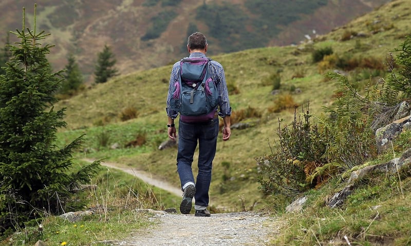 Hiking in Sustainable Ecosystem